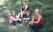 Haymaking