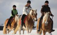 Winter horse-riding  so much fun