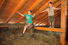 Jumping in the barn