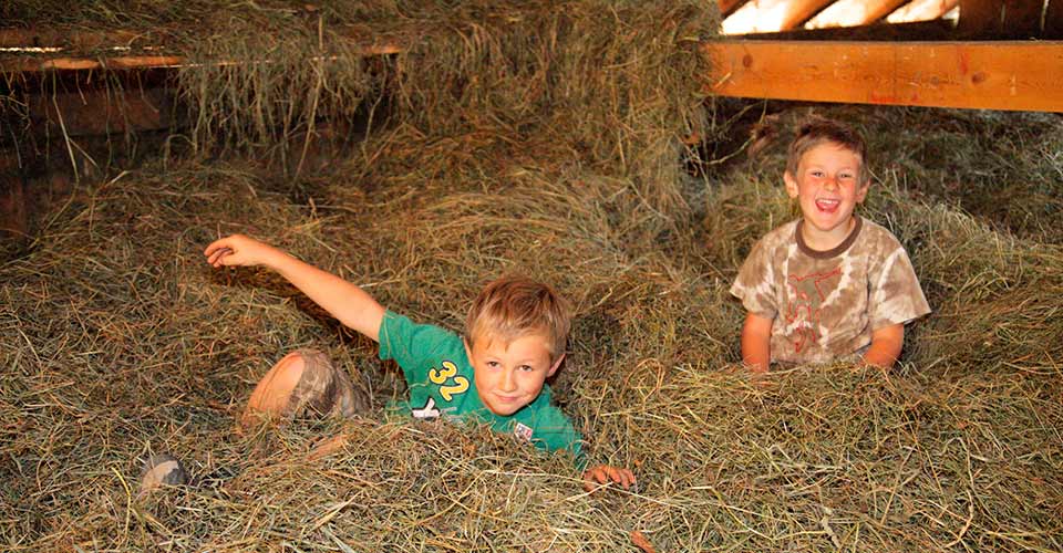 Jumping into the barn