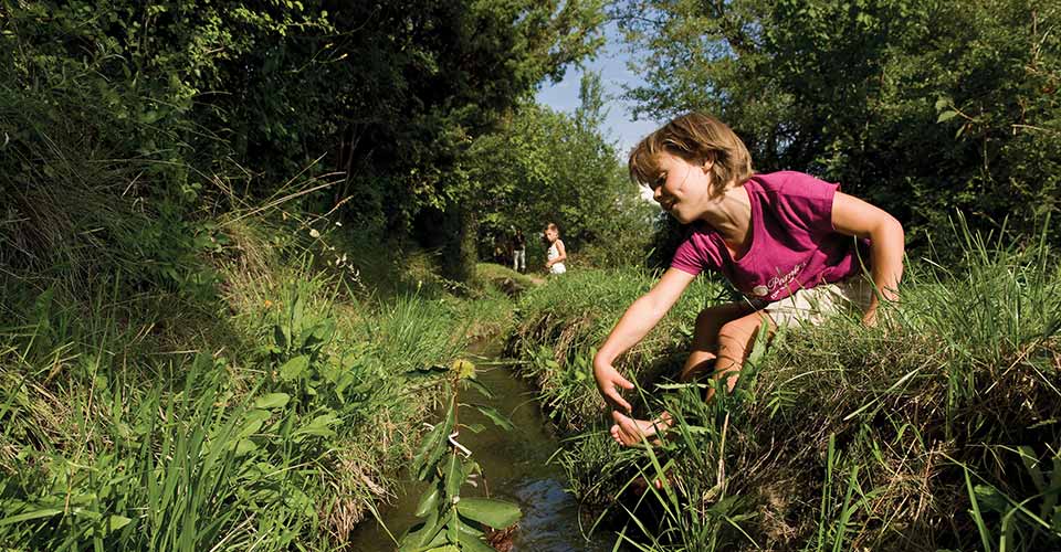 Walking along the “Waalweg Trails”